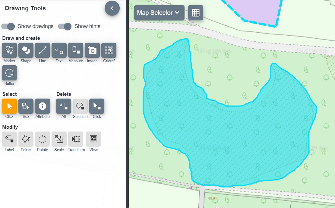 Draw freehand polygon option, with blue polygon drawn on map